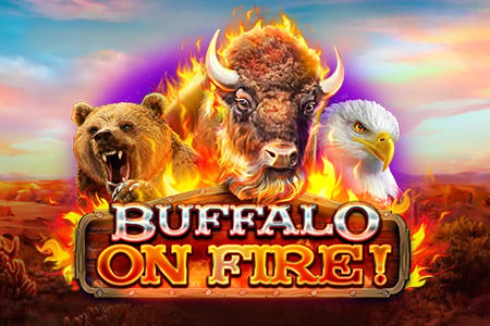 Buffalo On Fire!