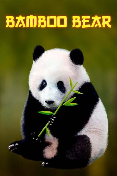 Bamboo Bear